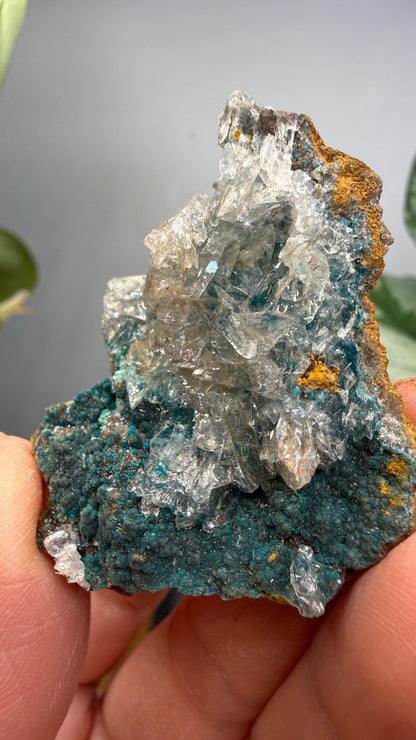 Rosasite with Calcite- Ojuela Mine, Mapimí, Mapimí Municipality, Durango, Mexico