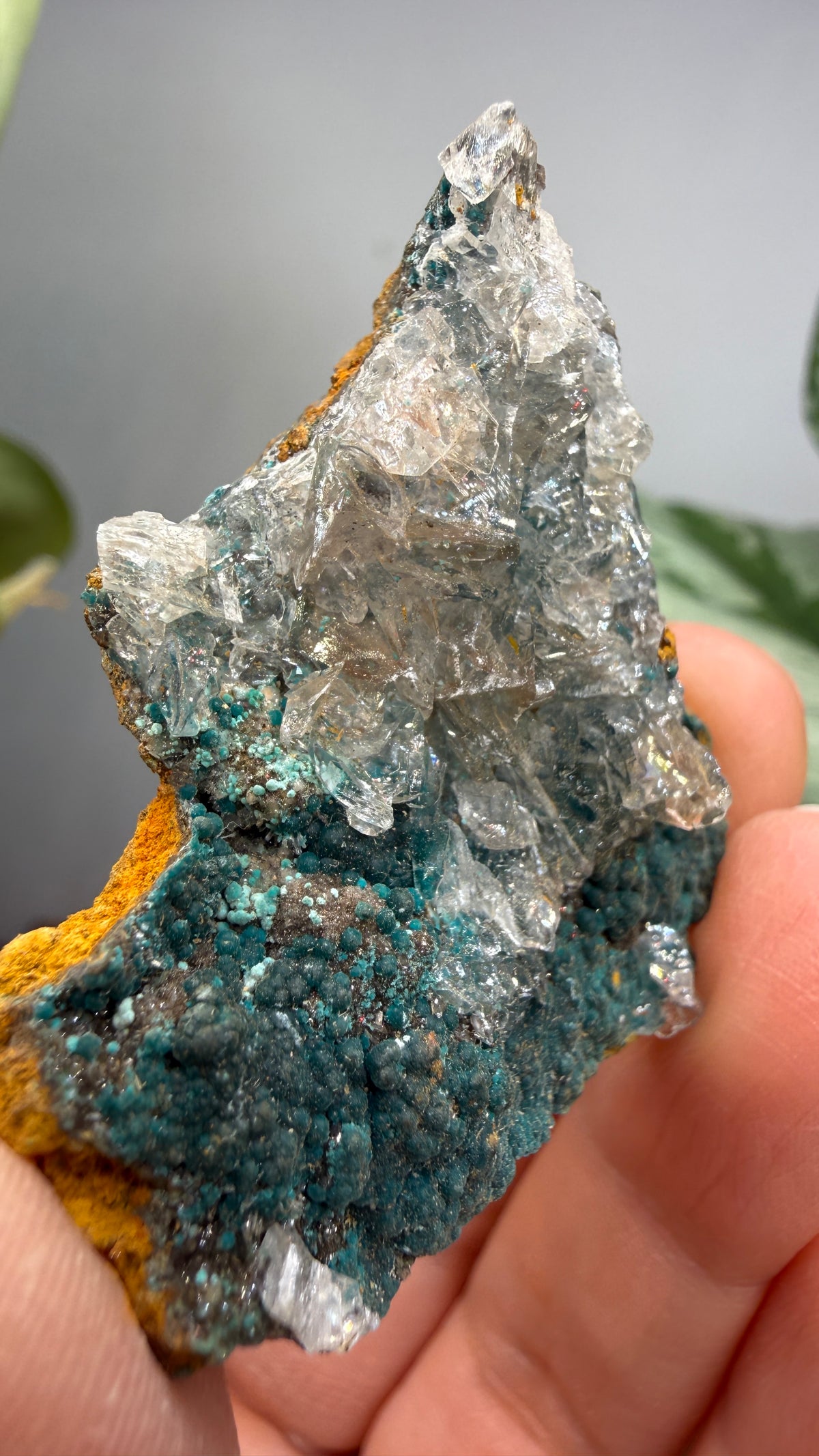 Rosasite with Calcite- Ojuela Mine, Mapimí, Mapimí Municipality, Durango, Mexico