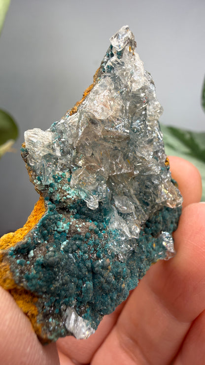 Rosasite with Calcite- Ojuela Mine, Mapimí, Mapimí Municipality, Durango, Mexico