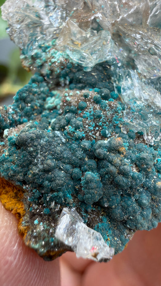 Rosasite with Calcite- Ojuela Mine, Mapimí, Mapimí Municipality, Durango, Mexico