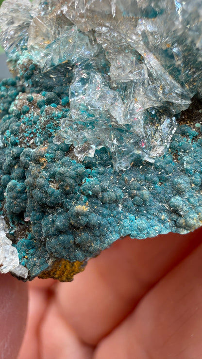Rosasite with Calcite- Ojuela Mine, Mapimí, Mapimí Municipality, Durango, Mexico