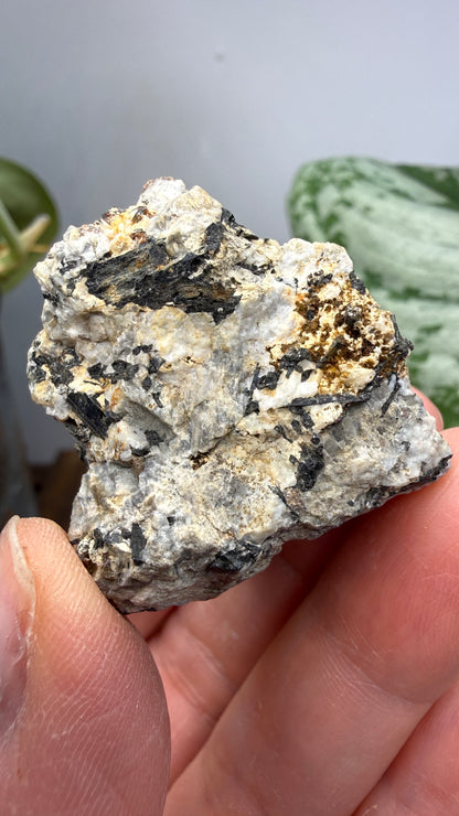 Aegirine- Magnet Cove, Hot Spring County, Arkansas, USA
