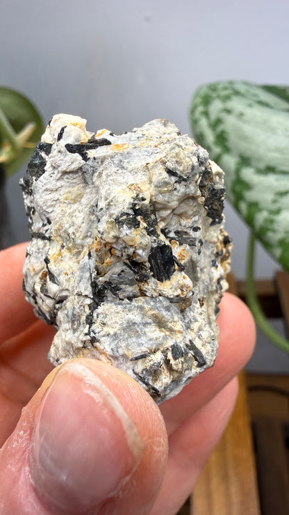 Aegirine- Magnet Cove, Hot Spring County, Arkansas, USA