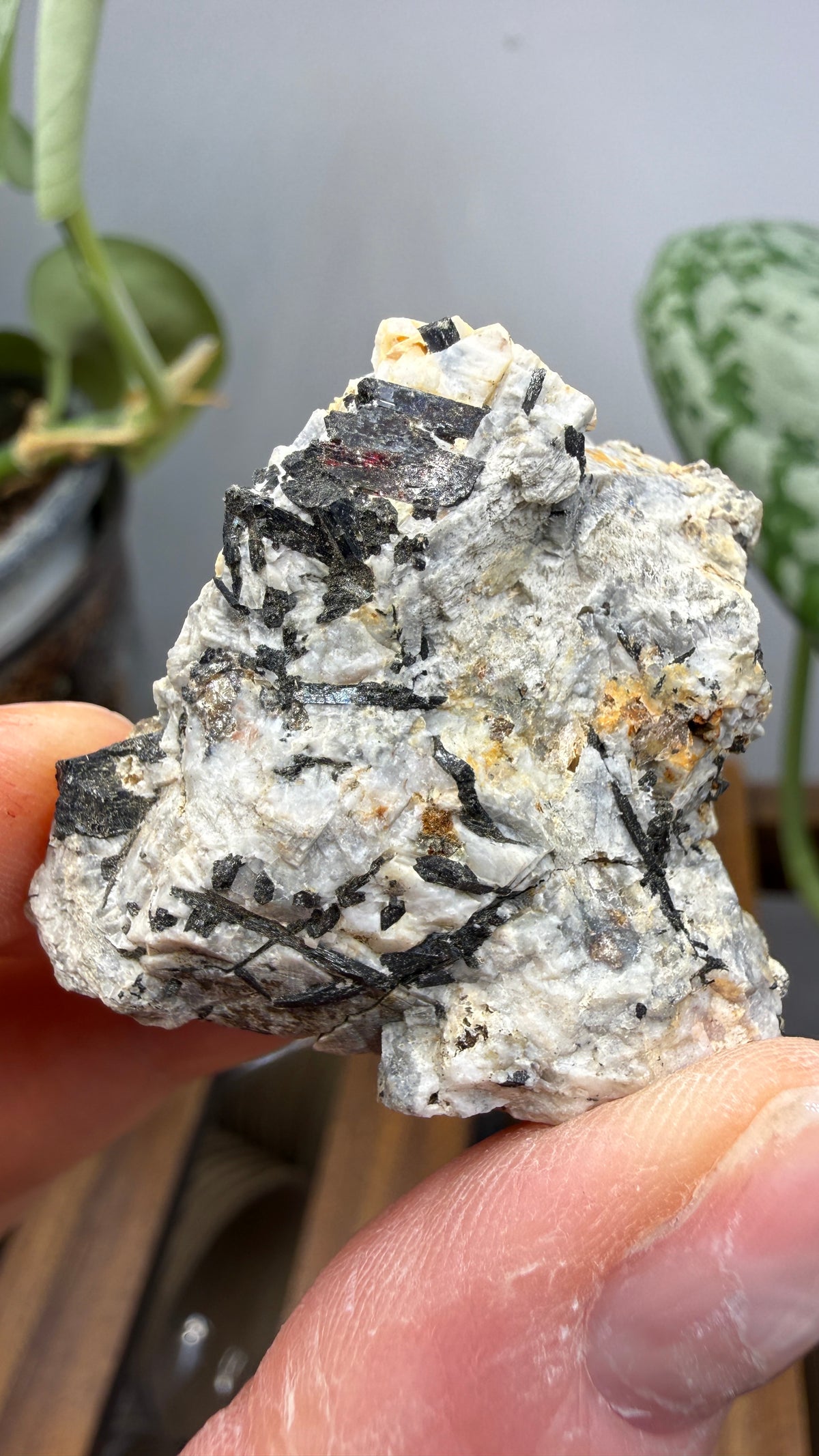 Aegirine- Magnet Cove, Hot Spring County, Arkansas, USA