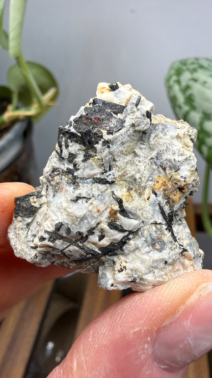 Aegirine- Magnet Cove, Hot Spring County, Arkansas, USA