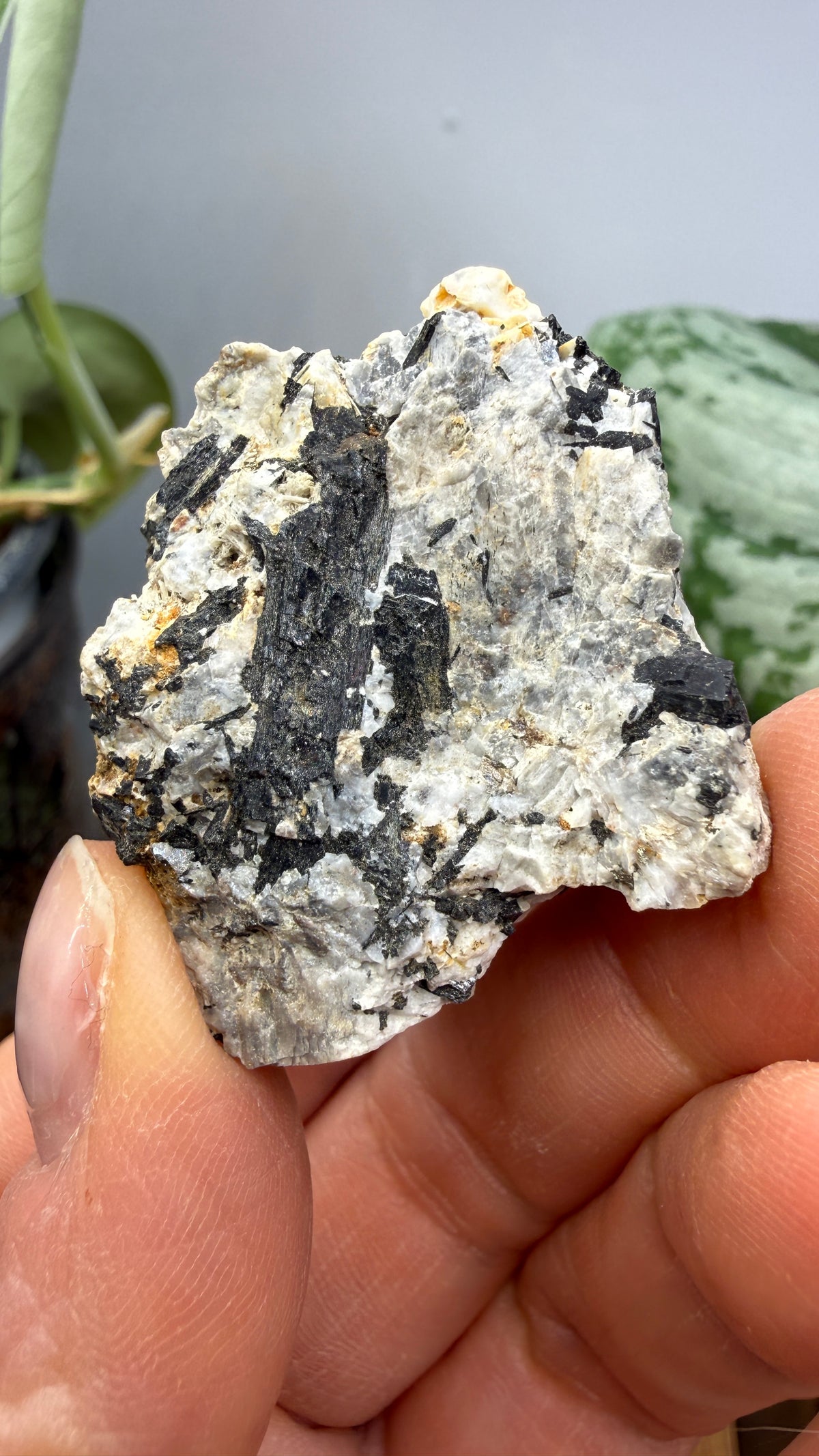 Aegirine- Magnet Cove, Hot Spring County, Arkansas, USA