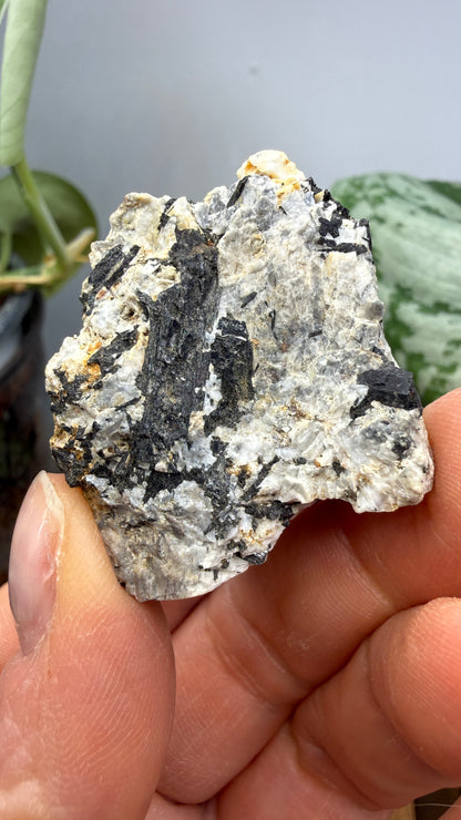 Aegirine- Magnet Cove, Hot Spring County, Arkansas, USA