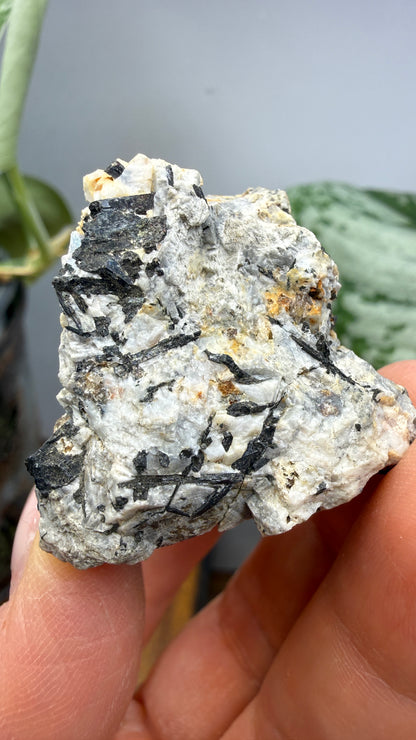 Aegirine- Magnet Cove, Hot Spring County, Arkansas, USA