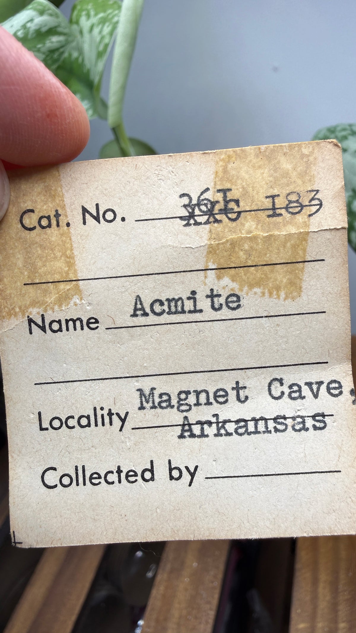 Aegirine- Magnet Cove, Hot Spring County, Arkansas, USA