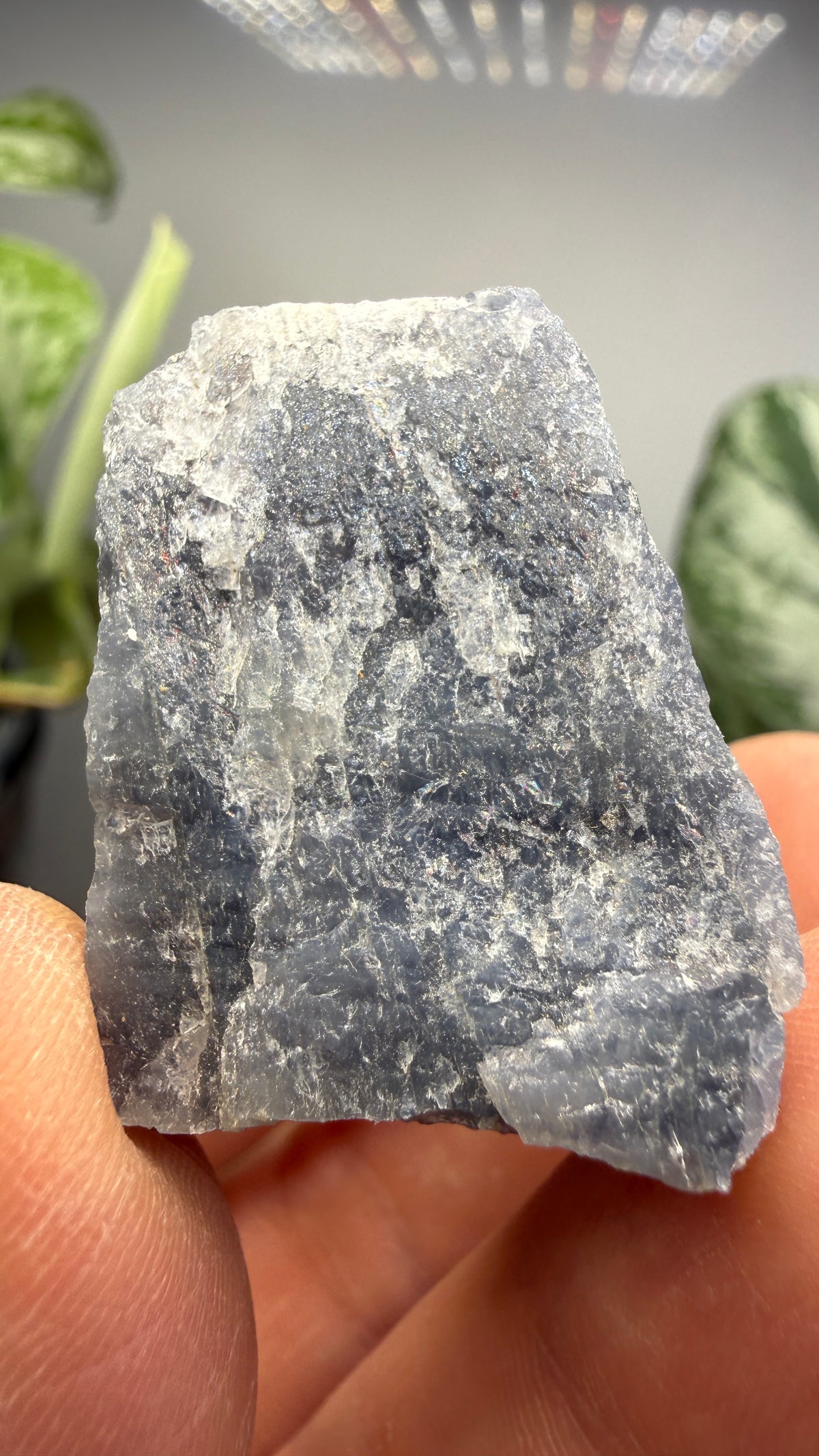 Cordierite- Likely Copper Mountain District, Owl Creek Mountains, Fremont County, Wyoming, USA