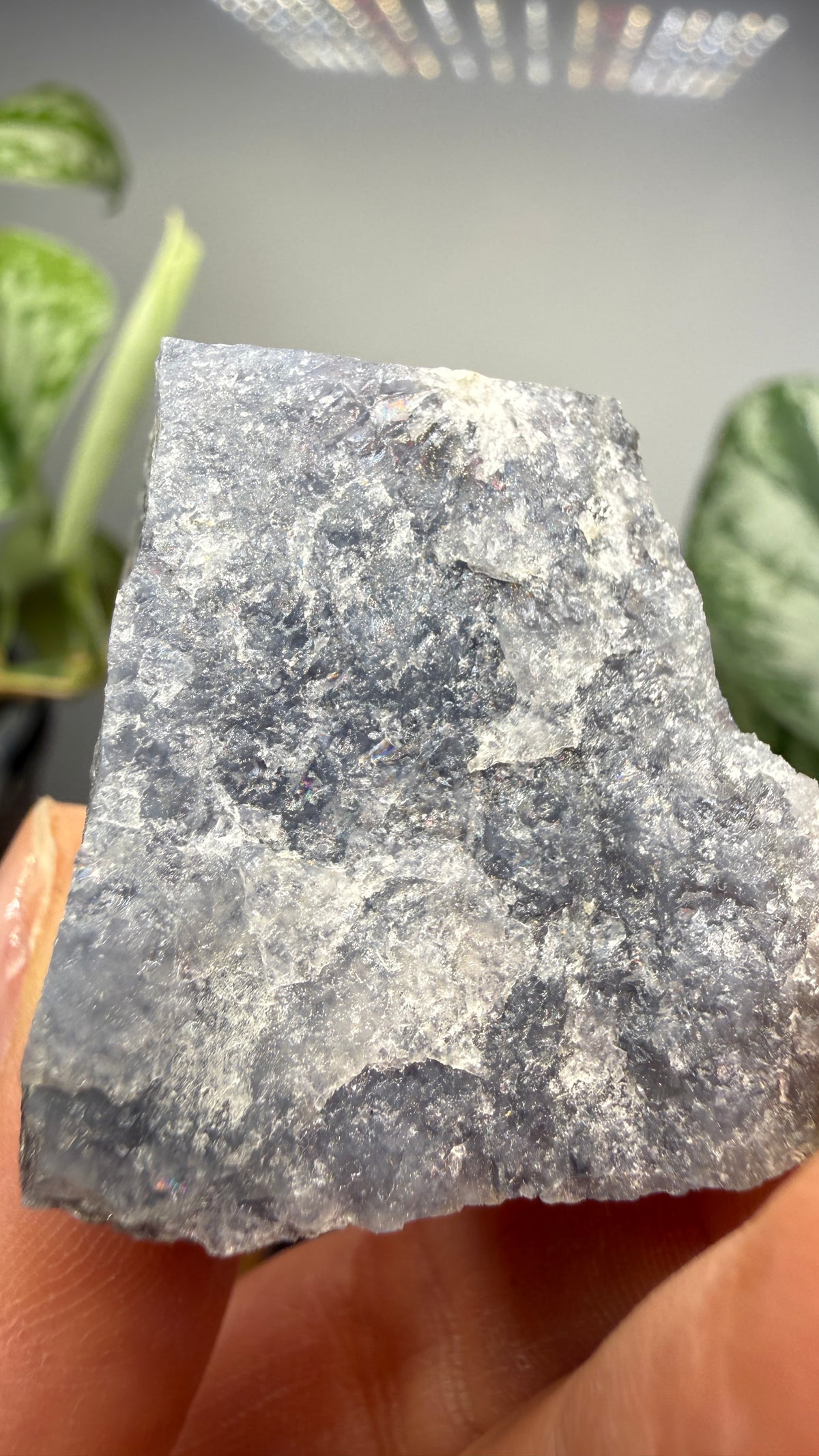 Cordierite- Likely Copper Mountain District, Owl Creek Mountains, Fremont County, Wyoming, USA