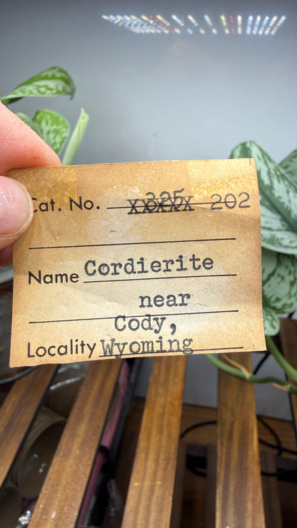 Cordierite- Likely Copper Mountain District, Owl Creek Mountains, Fremont County, Wyoming, USA