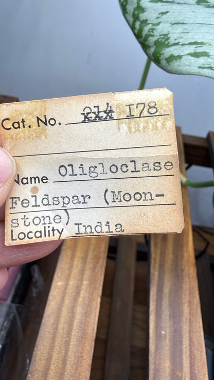 Oligoclase Feldspar (Moonstone) – Set of 3- India