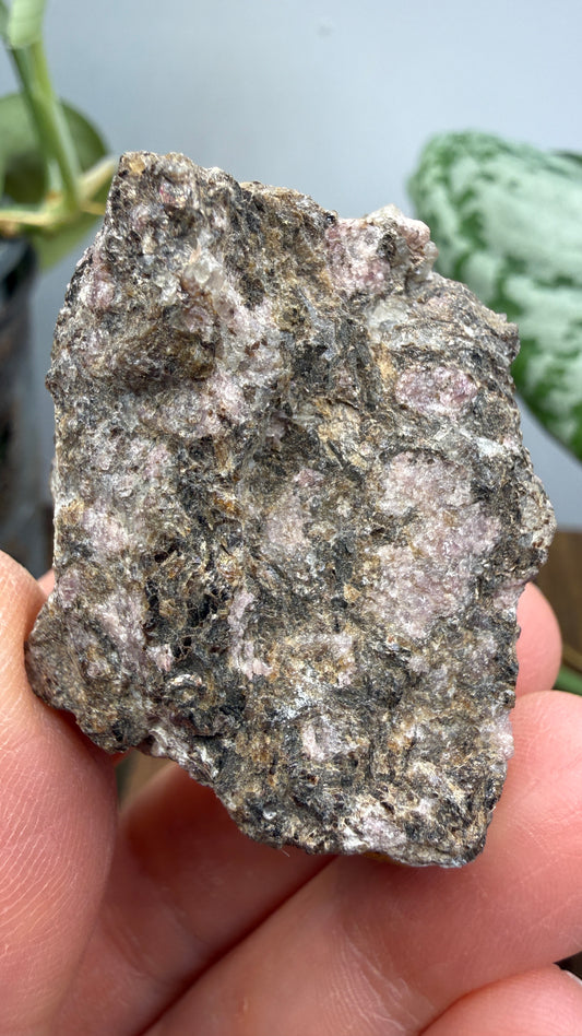 Rhodolite Garnet in Mica Schist- Cowee Valley, Macon County, North Carolina, USA