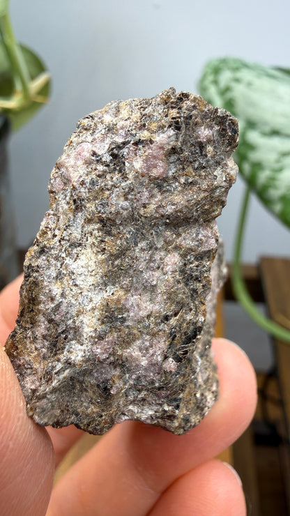 Rhodolite Garnet in Mica Schist- Cowee Valley, Macon County, North Carolina, USA
