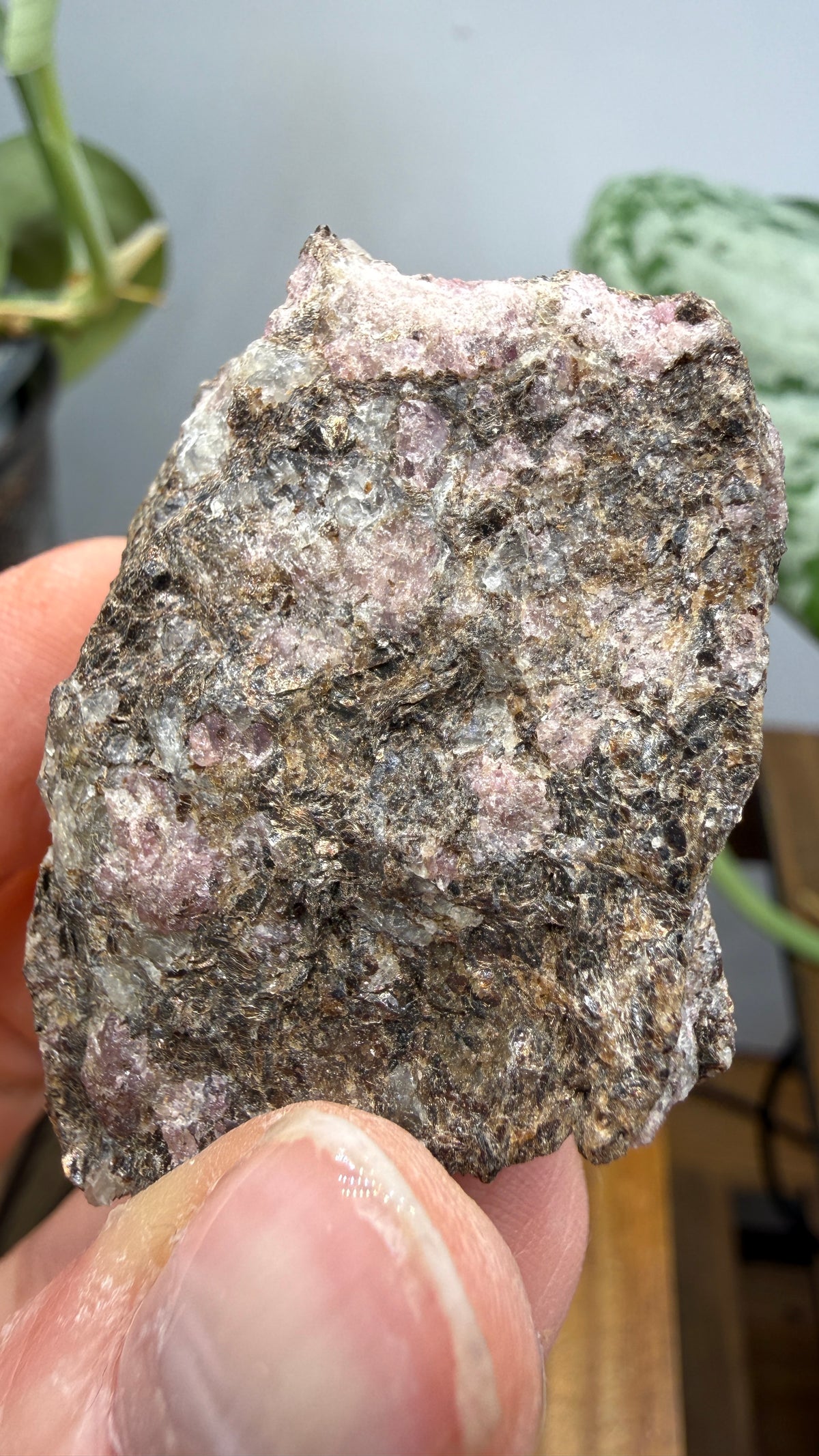 Rhodolite Garnet in Mica Schist- Cowee Valley, Macon County, North Carolina, USA