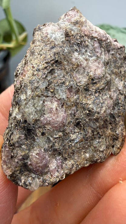 Rhodolite Garnet in Mica Schist- Cowee Valley, Macon County, North Carolina, USA