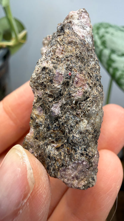 Rhodolite Garnet in Mica Schist- Cowee Valley, Macon County, North Carolina, USA
