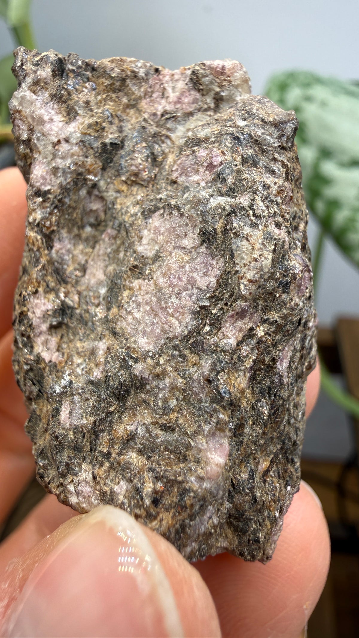 Rhodolite Garnet in Mica Schist- Cowee Valley, Macon County, North Carolina, USA
