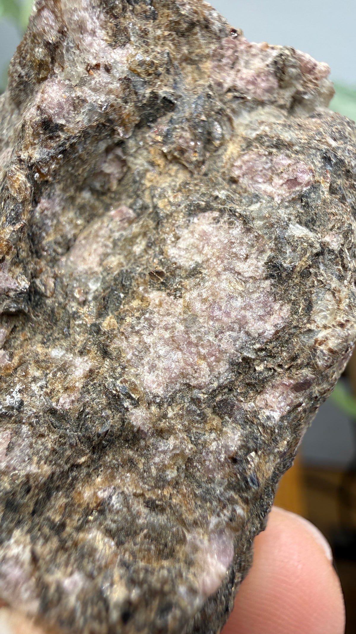 Rhodolite Garnet in Mica Schist- Cowee Valley, Macon County, North Carolina, USA