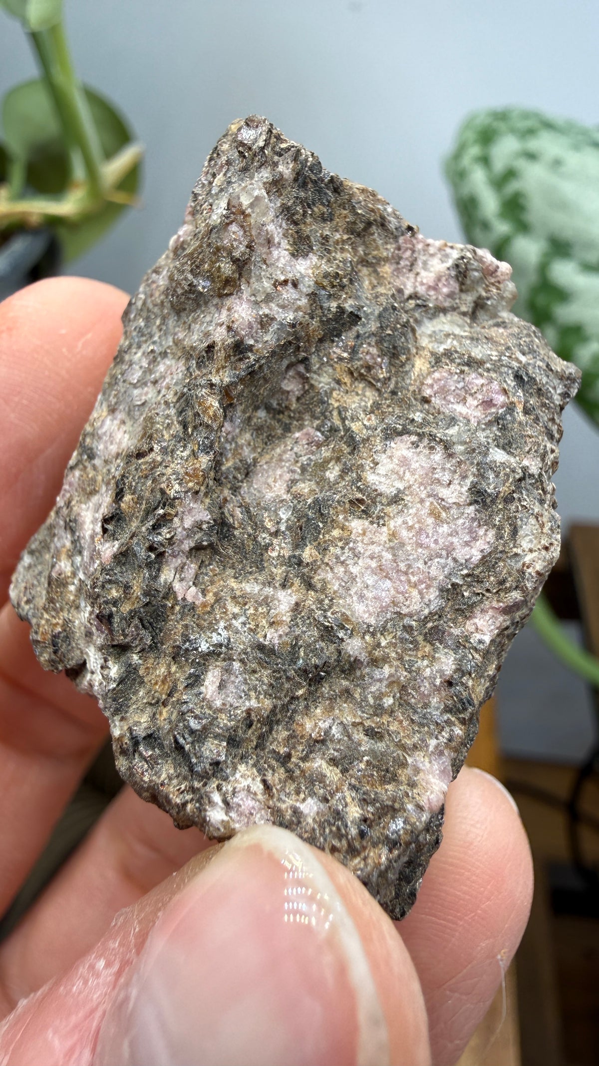 Rhodolite Garnet in Mica Schist- Cowee Valley, Macon County, North Carolina, USA
