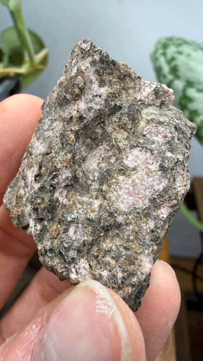 Rhodolite Garnet in Mica Schist- Cowee Valley, Macon County, North Carolina, USA