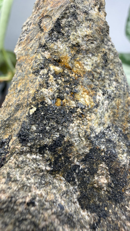 Babingtonite with Calcite- Winchester Highlands, Middlesex County, Massachusetts, USA