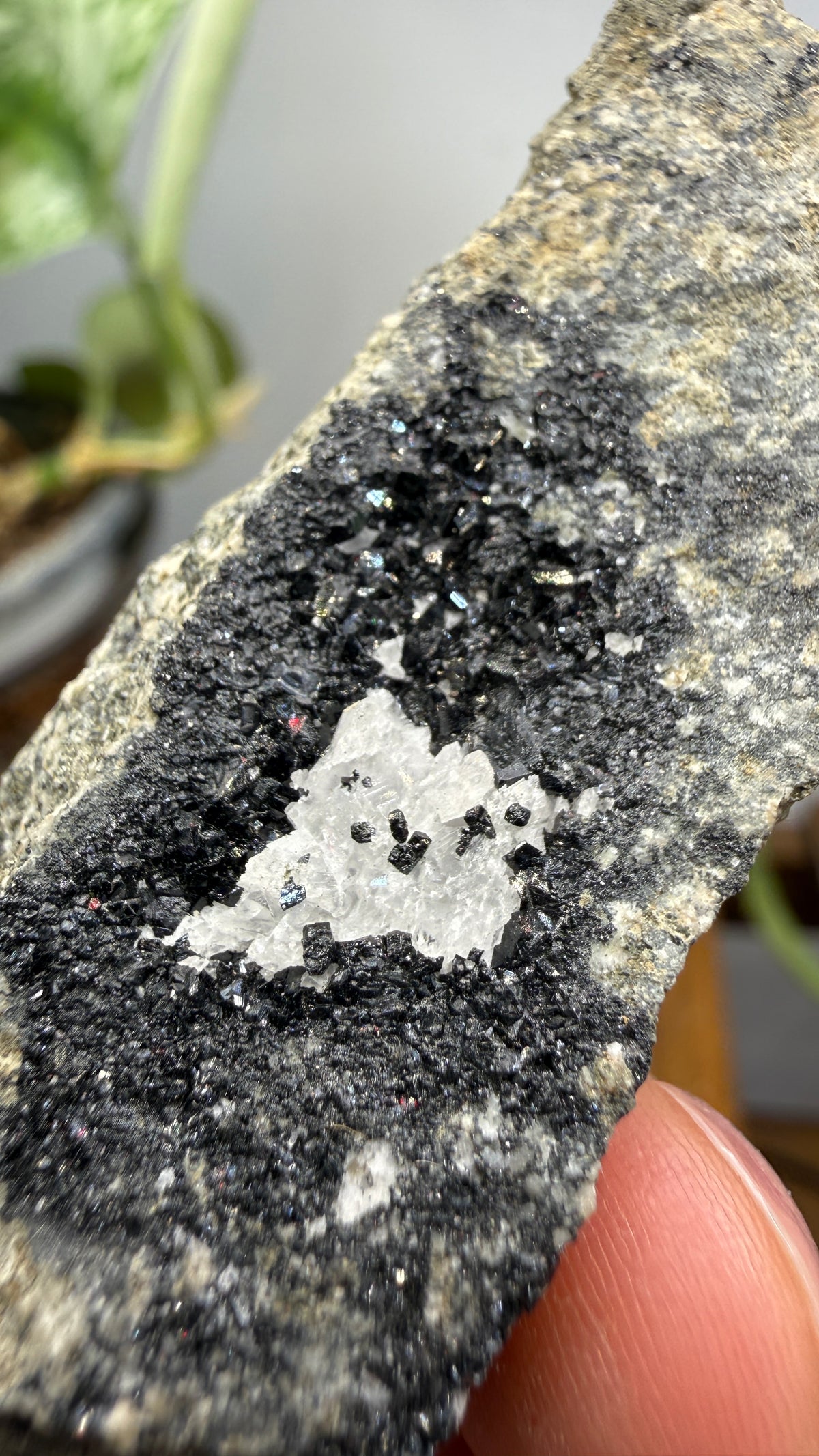 Babingtonite with Calcite- Winchester Highlands, Middlesex County, Massachusetts, USA