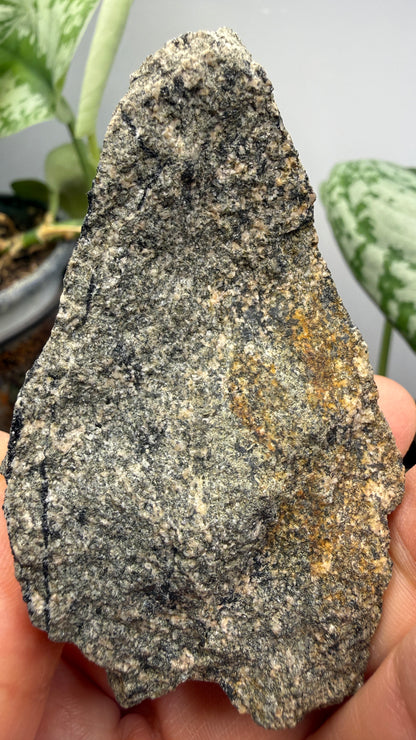Babingtonite with Calcite- Winchester Highlands, Middlesex County, Massachusetts, USA