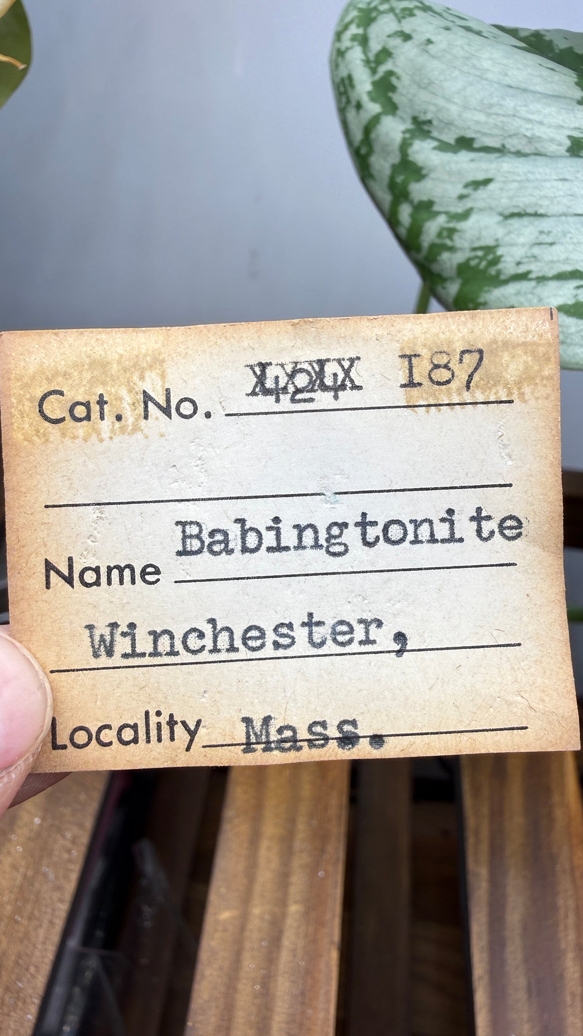 Babingtonite with Calcite- Winchester Highlands, Middlesex County, Massachusetts, USA