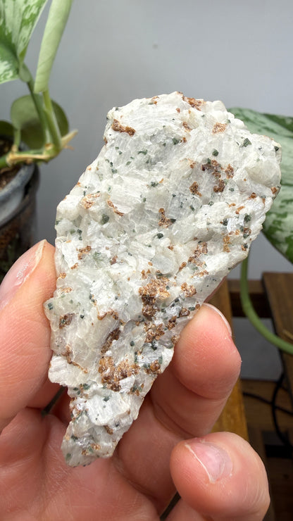 Wollastonite, Garnet, Diopside- Willsboro, Essex County, New York, USA