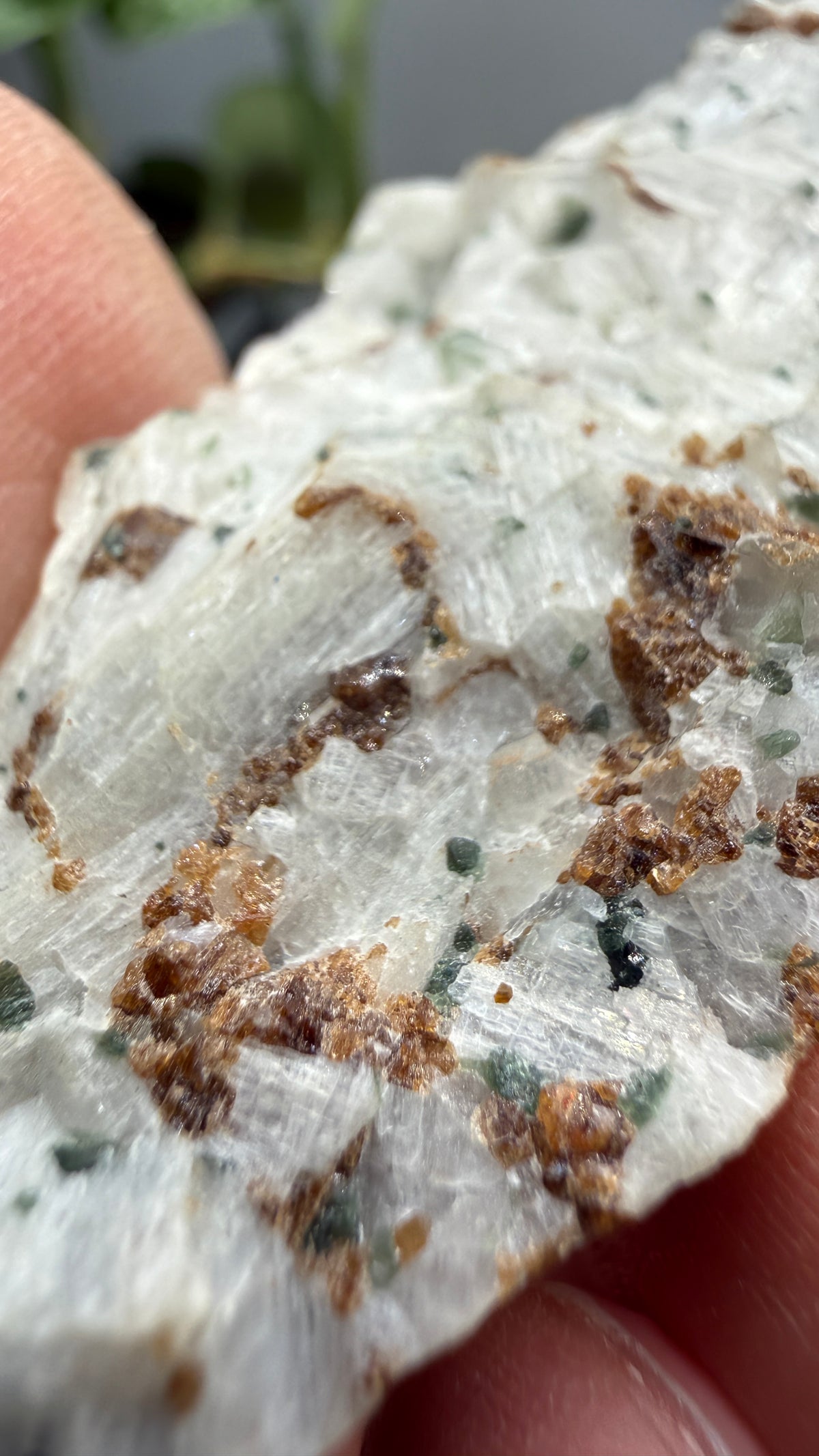 Wollastonite, Garnet, Diopside- Willsboro, Essex County, New York, USA