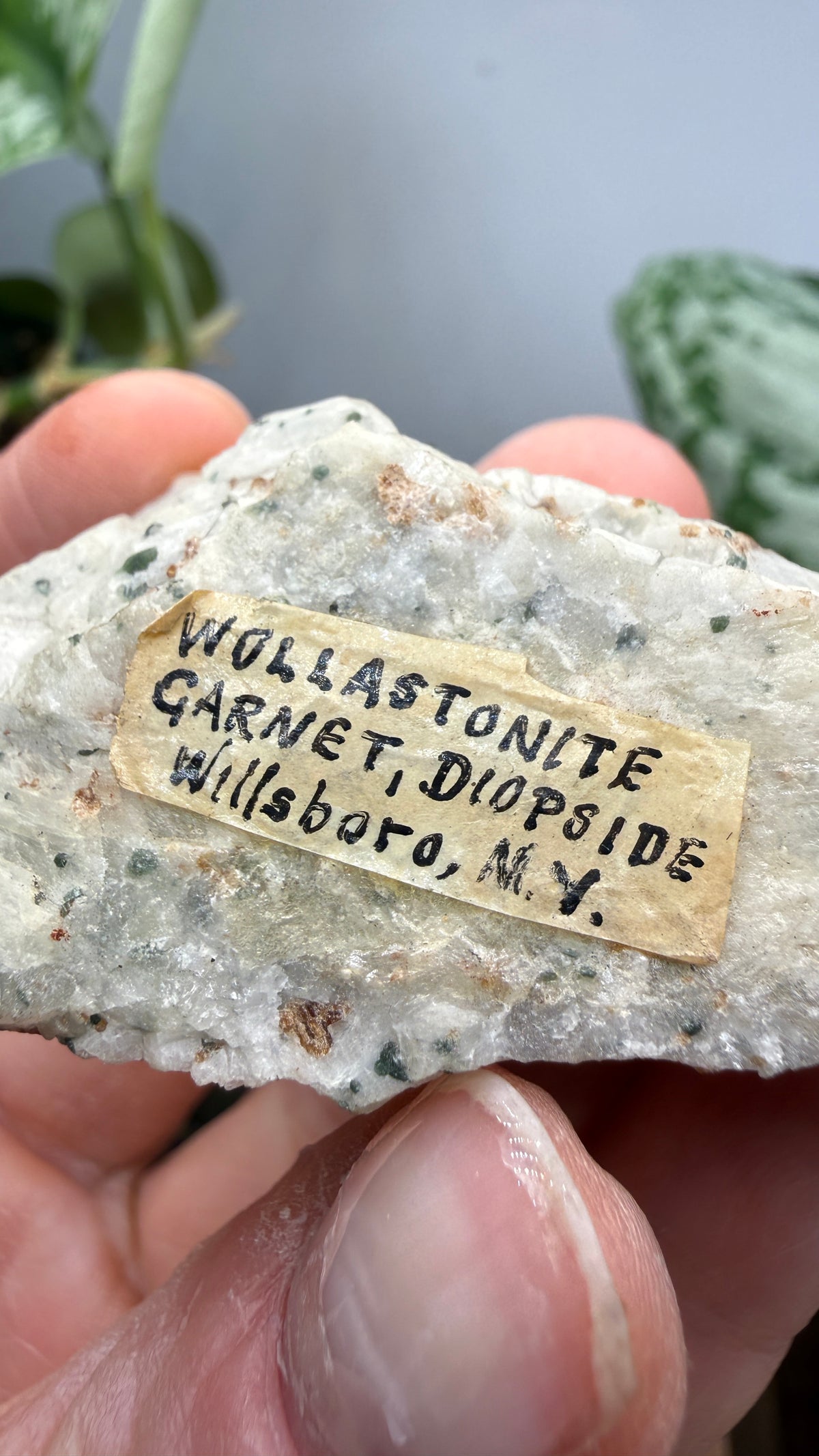 Wollastonite, Garnet, Diopside- Willsboro, Essex County, New York, USA