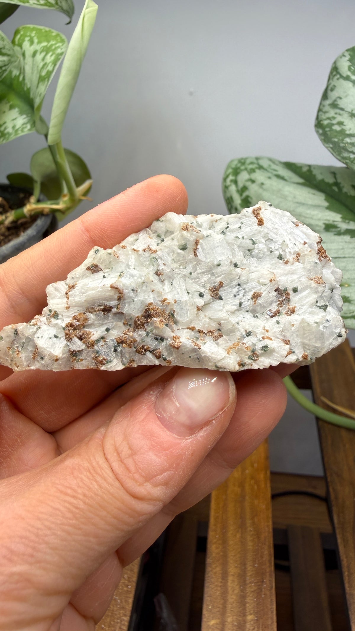 Wollastonite, Garnet, Diopside- Willsboro, Essex County, New York, USA