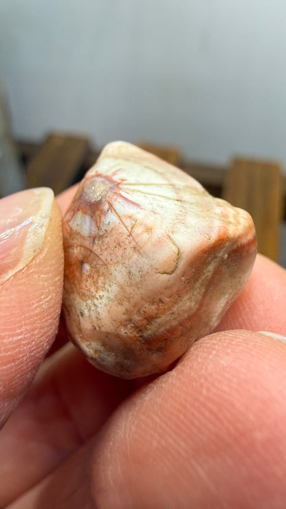 Thomsonite- North Shore of Lake Superior, Minnesota, USA