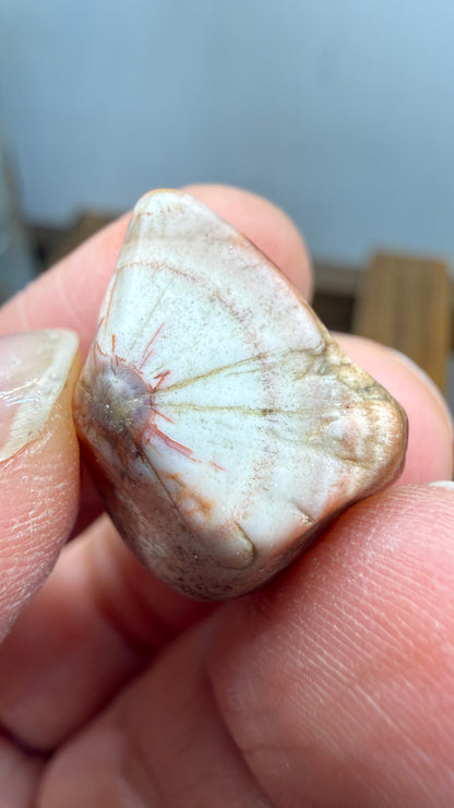 Thomsonite- North Shore of Lake Superior, Minnesota, USA