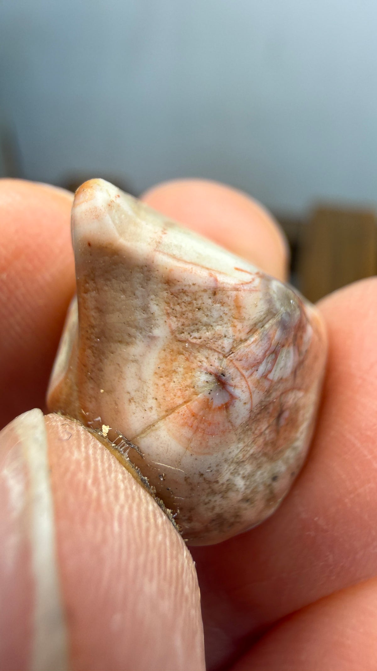 Thomsonite- North Shore of Lake Superior, Minnesota, USA
