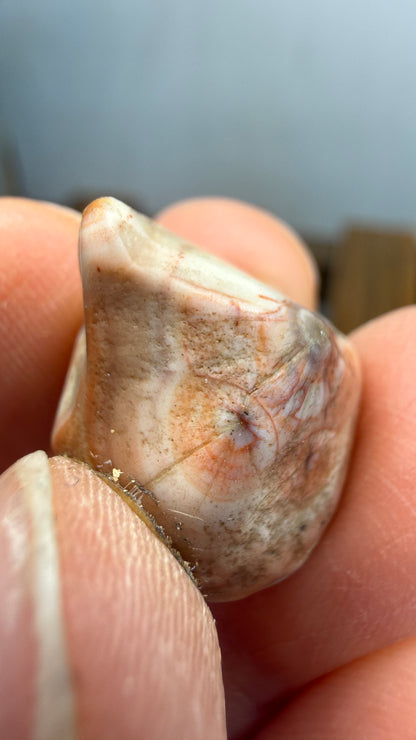 Thomsonite- North Shore of Lake Superior, Minnesota, USA