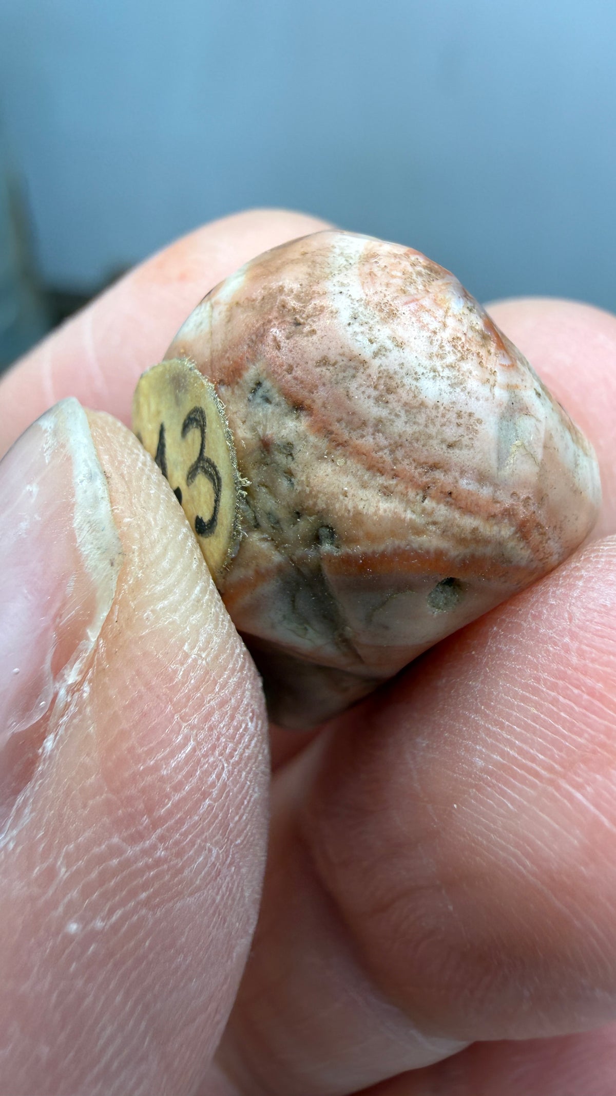 Thomsonite- North Shore of Lake Superior, Minnesota, USA