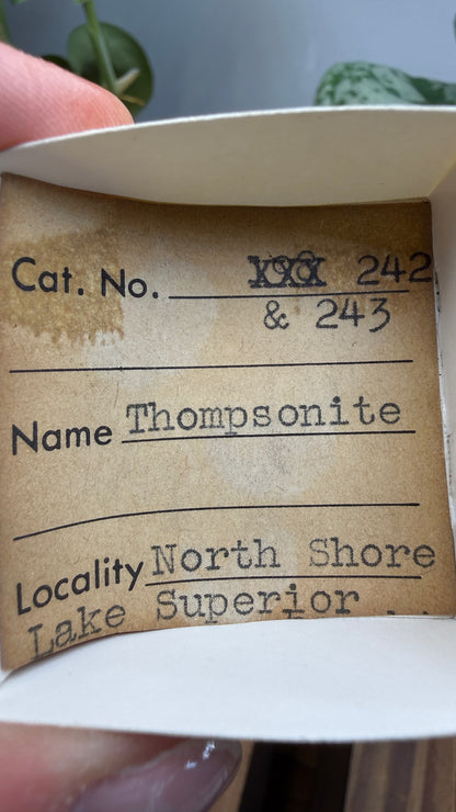 Thomsonite- North Shore of Lake Superior, Minnesota, USA