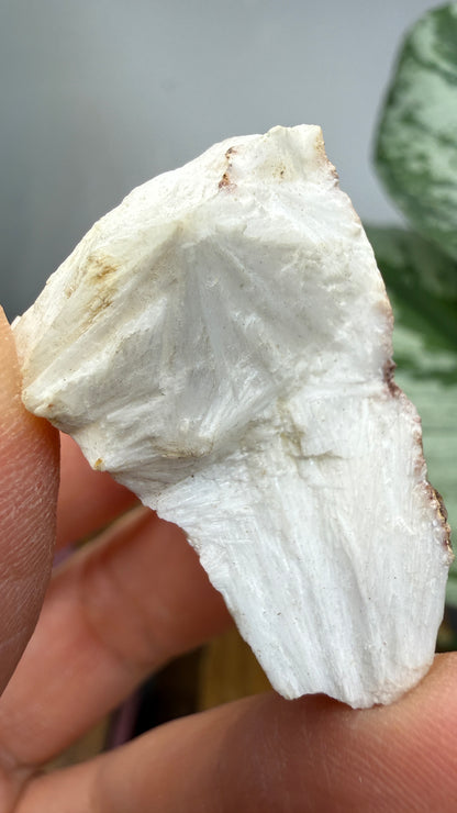 Mesolite- Likely Bear Creek Quarry, Drain, Douglas County, Oregon, USA
