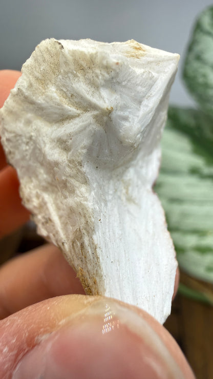 Mesolite- Likely Bear Creek Quarry, Drain, Douglas County, Oregon, USA