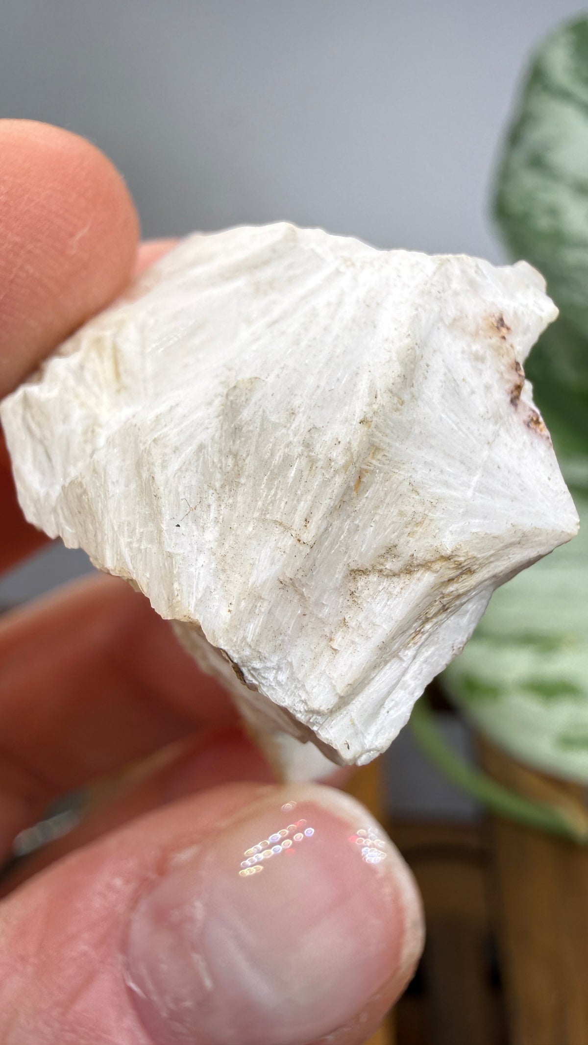 Mesolite- Likely Bear Creek Quarry, Drain, Douglas County, Oregon, USA