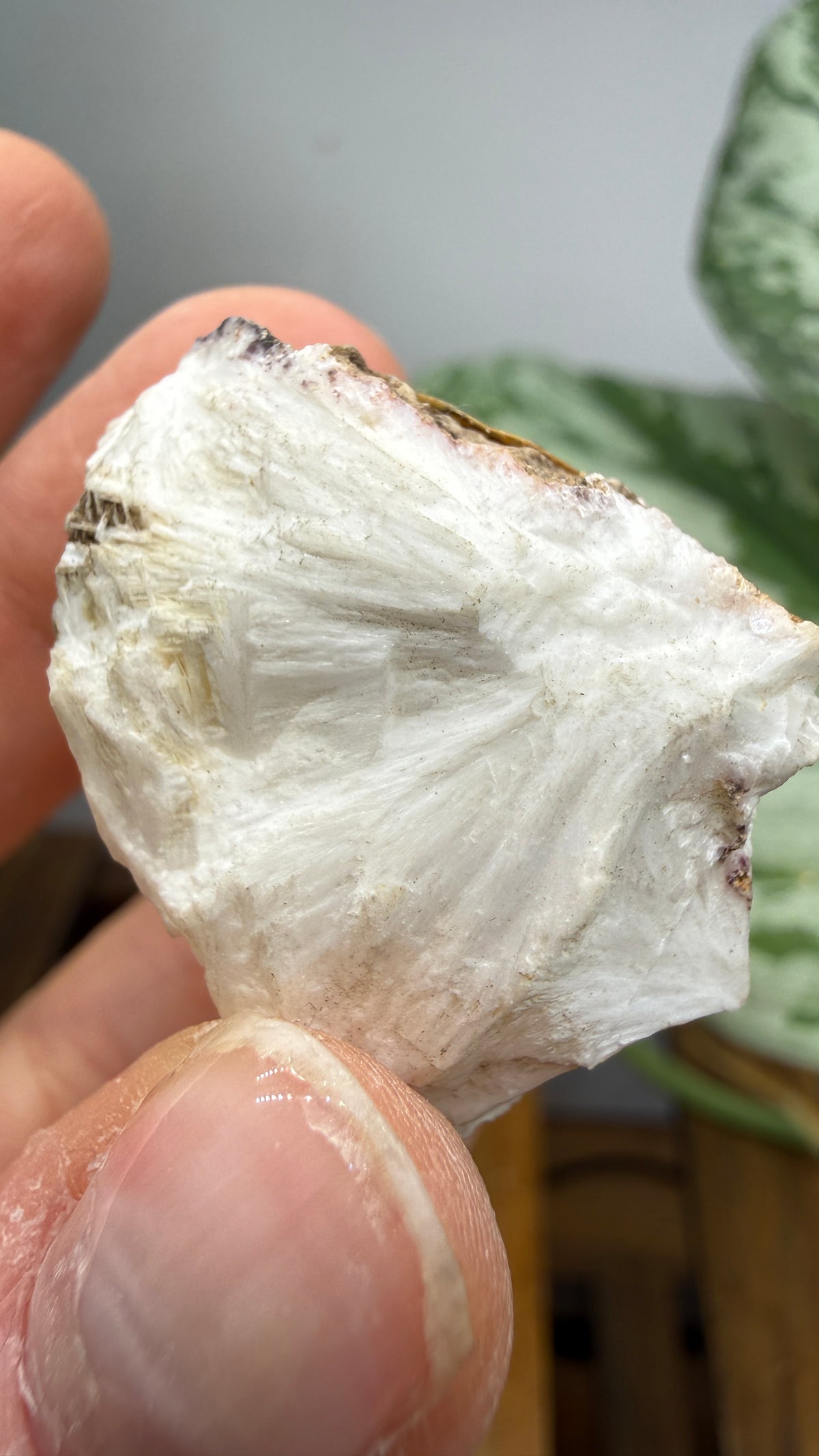 Mesolite- Likely Bear Creek Quarry, Drain, Douglas County, Oregon, USA