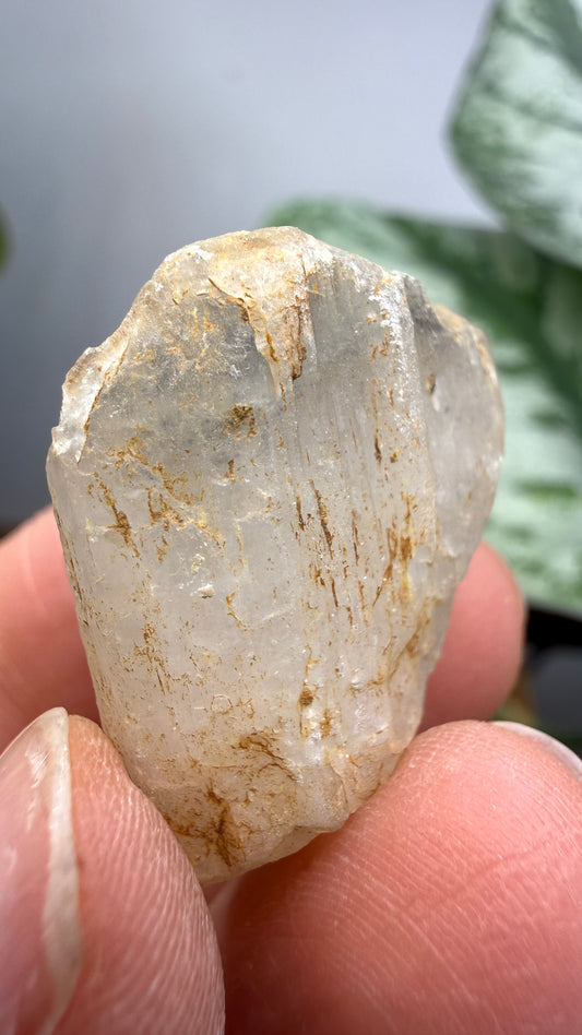 Natrolite- Clear Creek Deposits, Idria Peak, San Benito County, California, USA