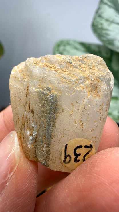 Natrolite- Clear Creek Deposits, Idria Peak, San Benito County, California, USA