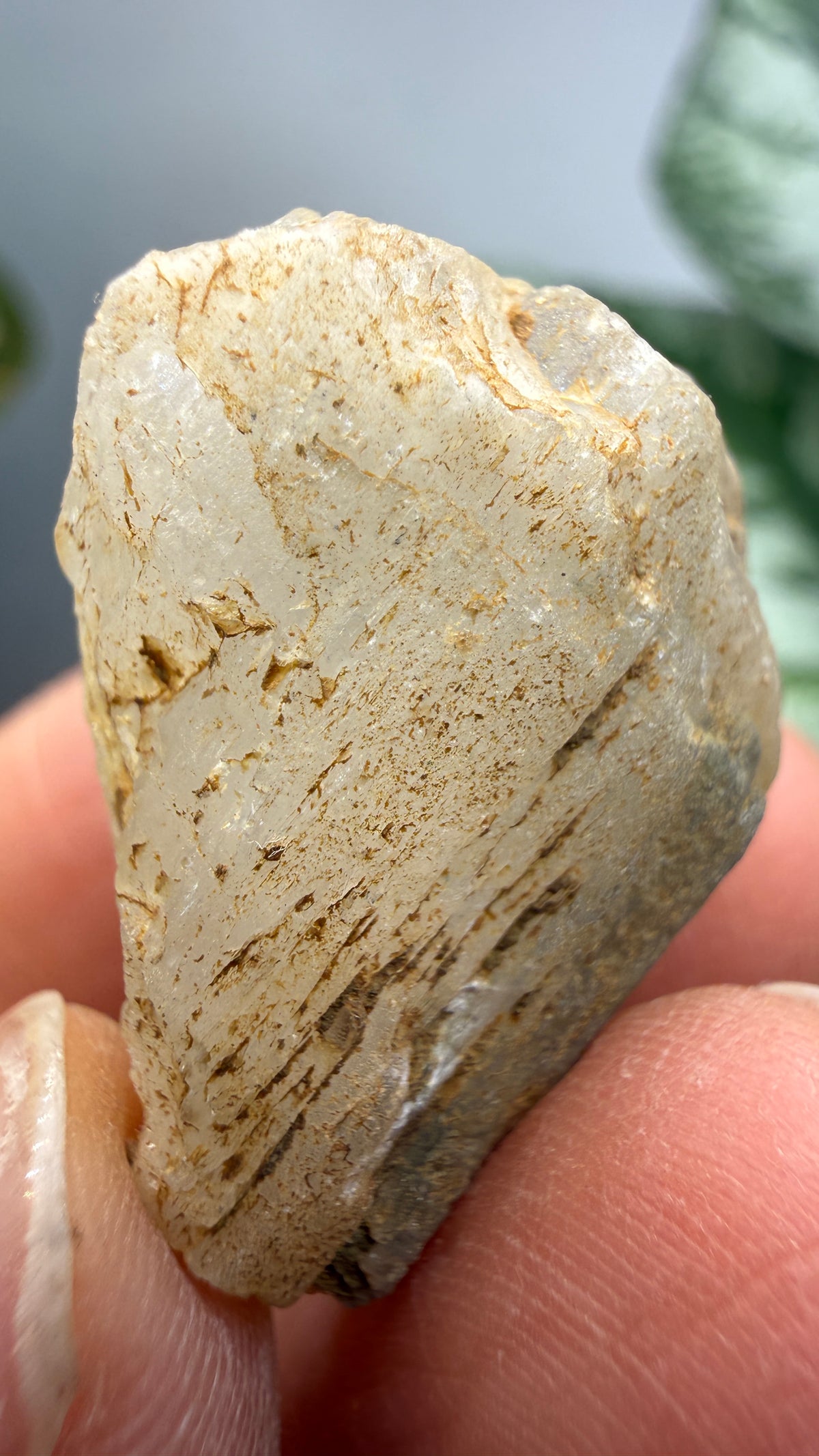 Natrolite- Clear Creek Deposits, Idria Peak, San Benito County, California, USA