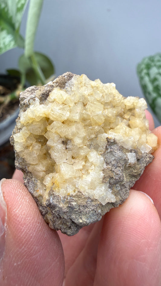 Chabazite- Table Mountain, near Rosarito Beach, Baja California, Mexico