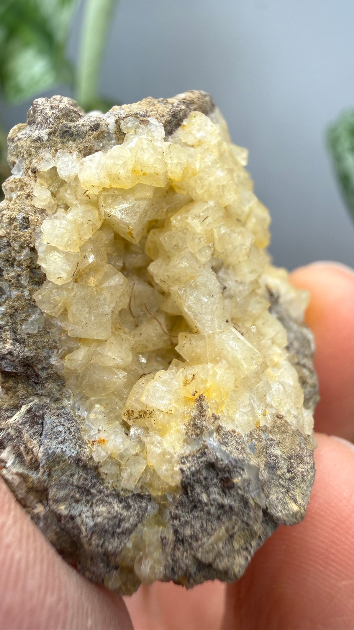 Chabazite- Table Mountain, near Rosarito Beach, Baja California, Mexico