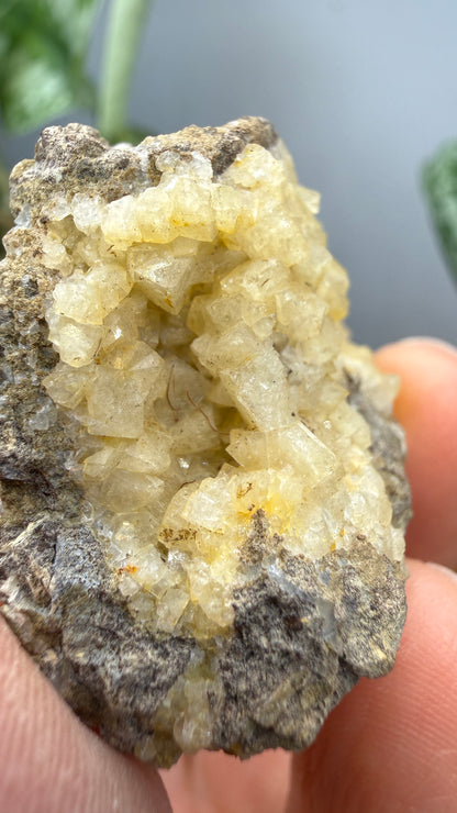 Chabazite- Table Mountain, near Rosarito Beach, Baja California, Mexico